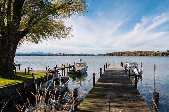 是顶级的 是顶级的