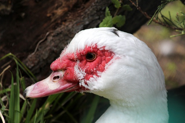 随着赛季继 随着赛季继