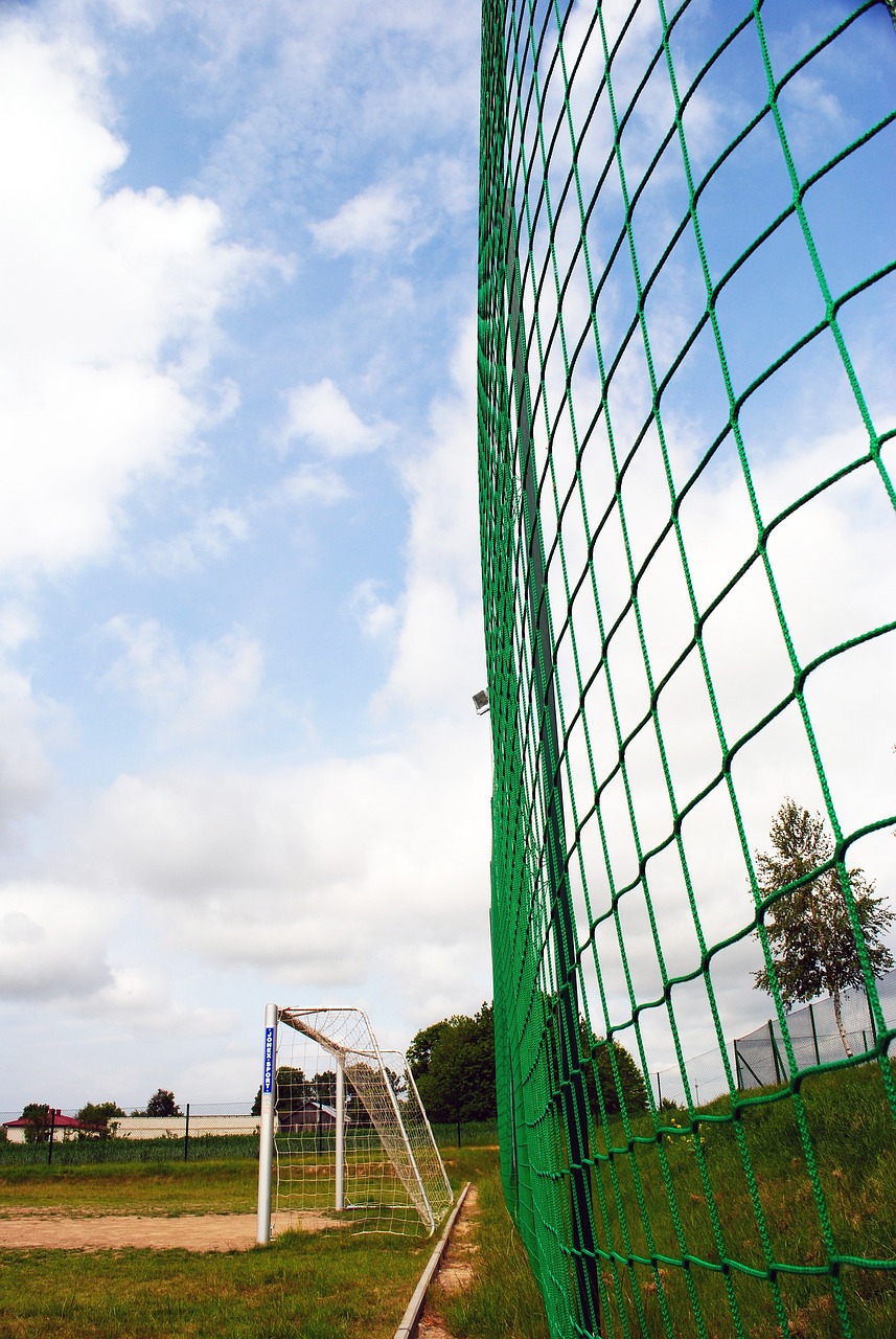 自己的努力 自己的努力