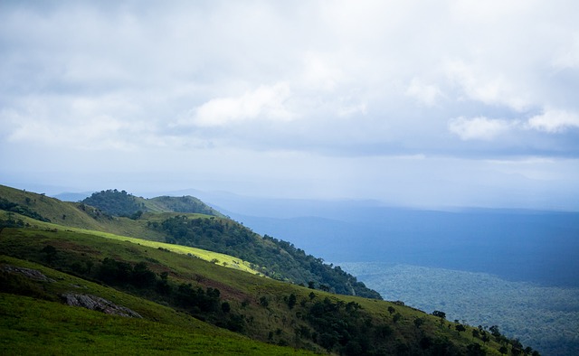 不僅取決於 不僅取決於