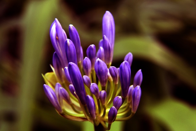 谢鹏飞延续 谢鹏飞延续