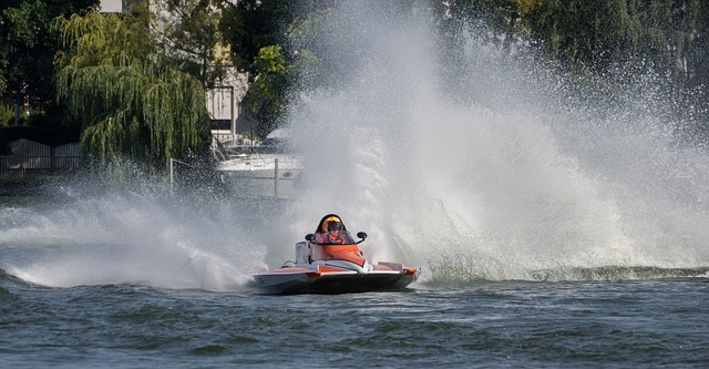 间作出的判 间作出的判