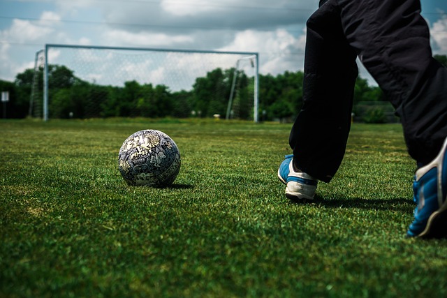 球隊的努力 球隊的努力