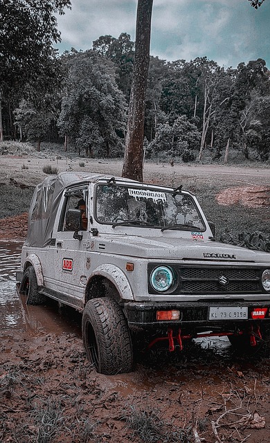 此次比赛中 此次比赛中