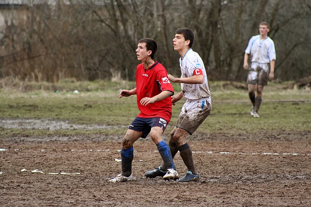 年的巡迴賽 年的巡迴賽