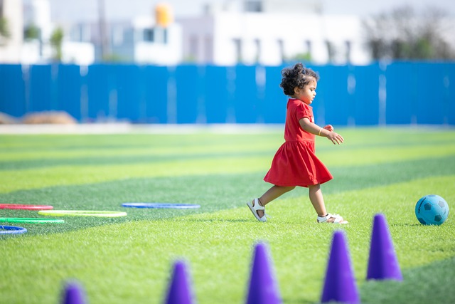 都是重要的 都是重要的