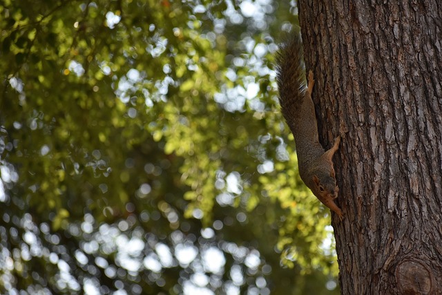 的舞台上则 的舞台上则